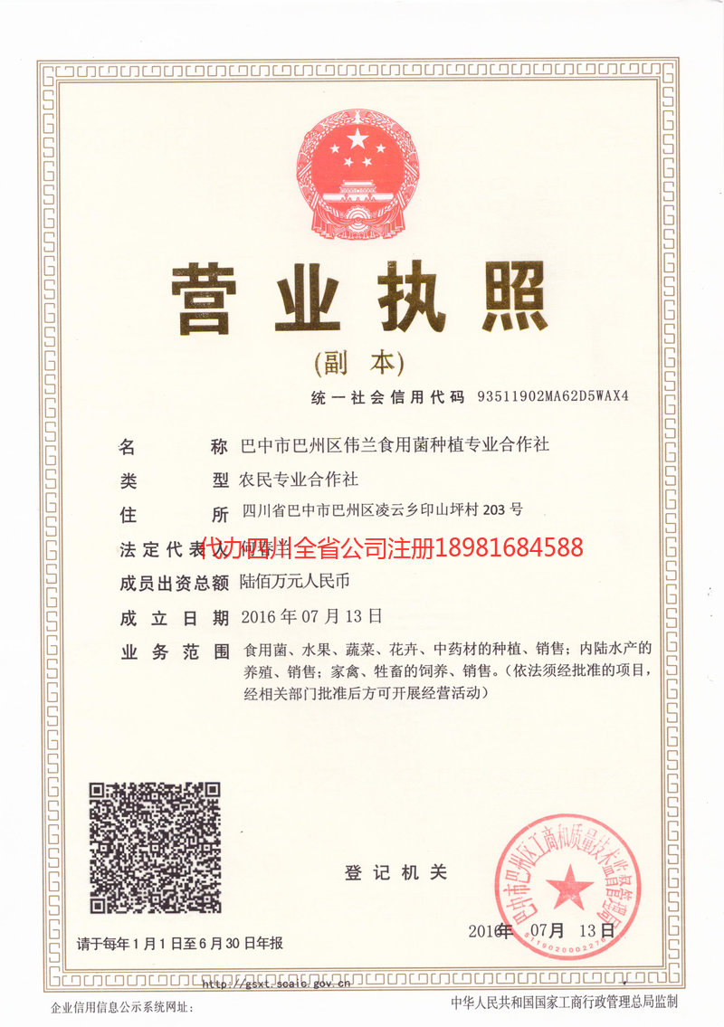 肇东肇东伟兰食用菌种植专业合作社